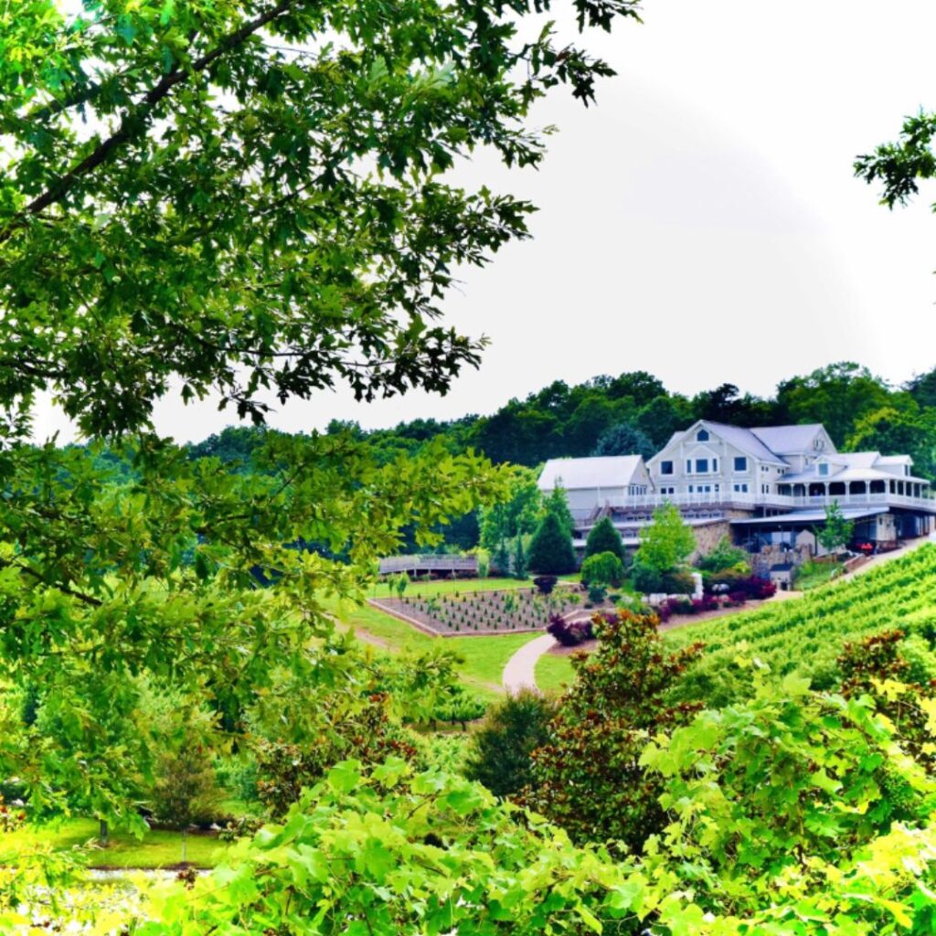 A picture of a winery and a vineyard