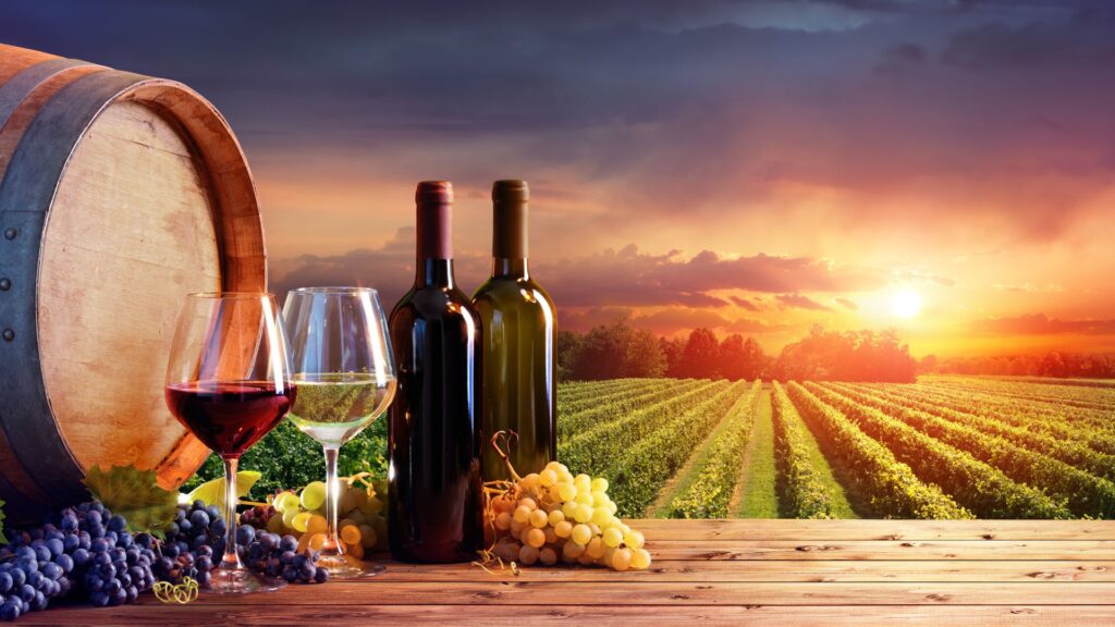 Photo of 2 wine glasses with the red and white wine, two bottles (dark and light), white and red grapes over the vineyard.